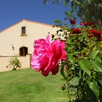 Le Ginestre